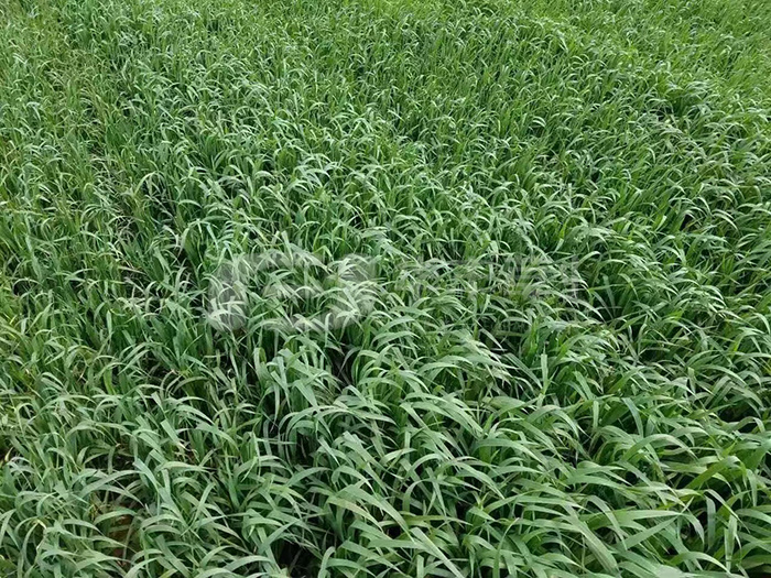 1673559321883675 1673559321883675