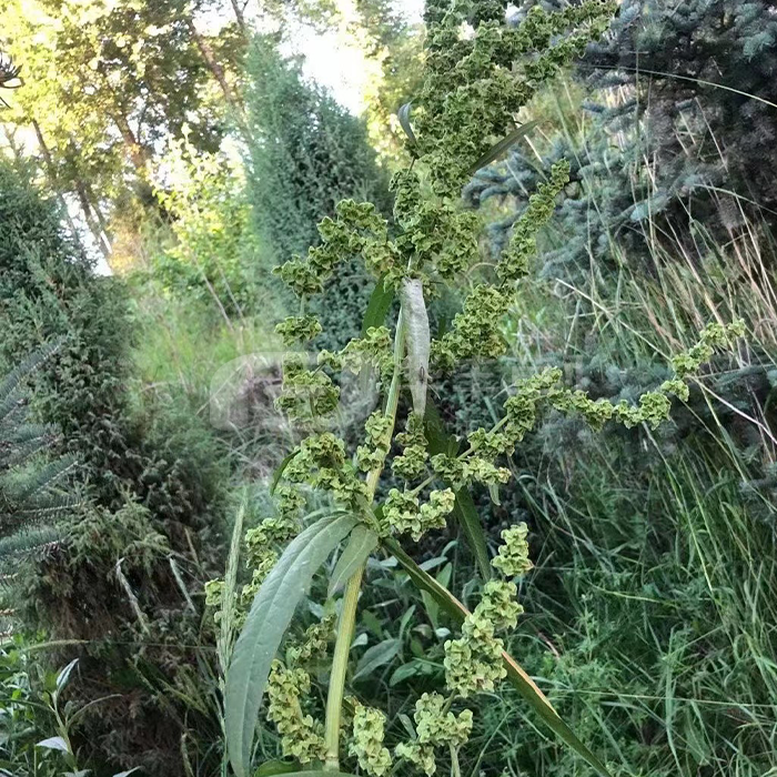 1677136400870425