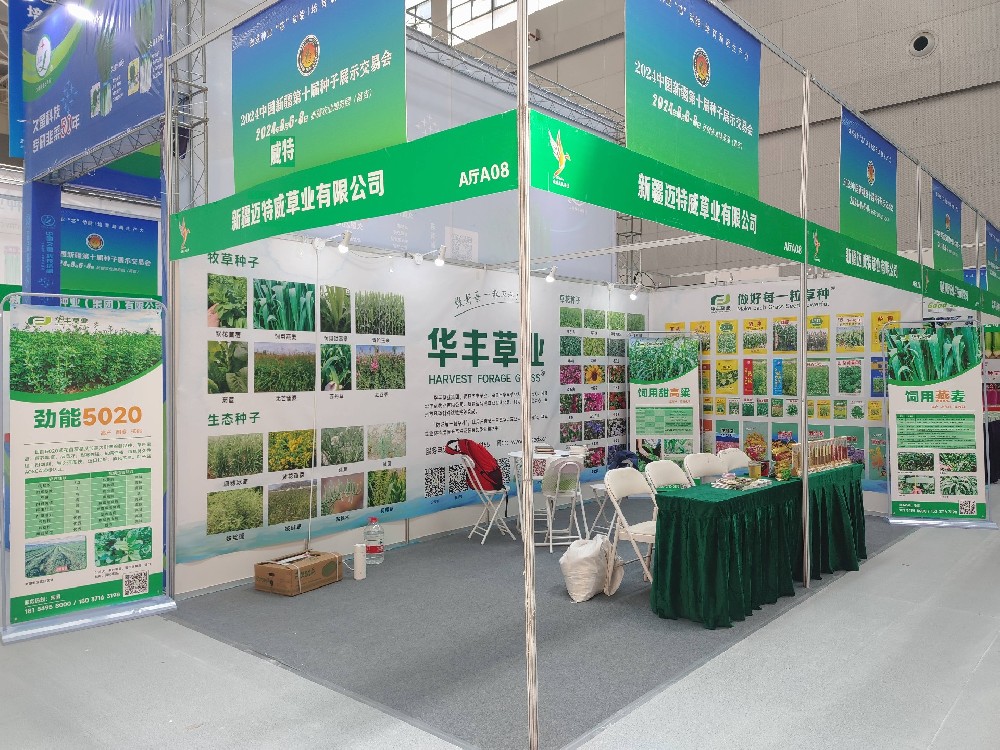 rb88随行版草业参与新疆第十届种子展示买卖会
